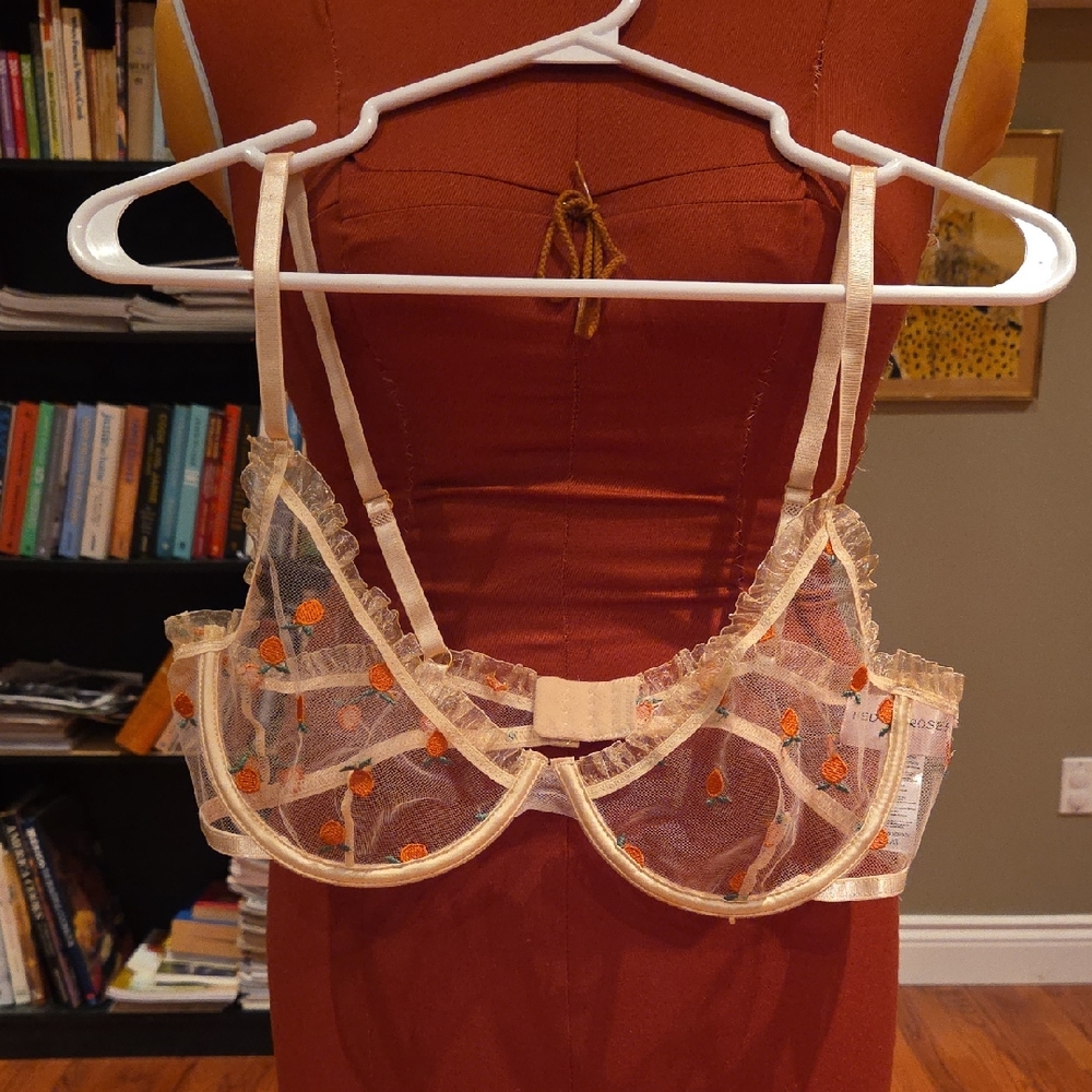 Delicate Sheer Bra with Floral Embroidery